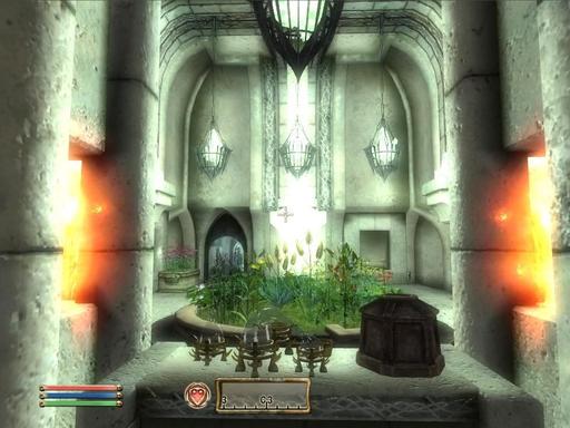 Elder Scrolls IV: Oblivion, The - Царство света. АранМахи.